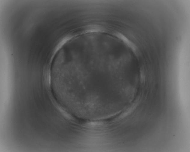 X0000112161274200908141227