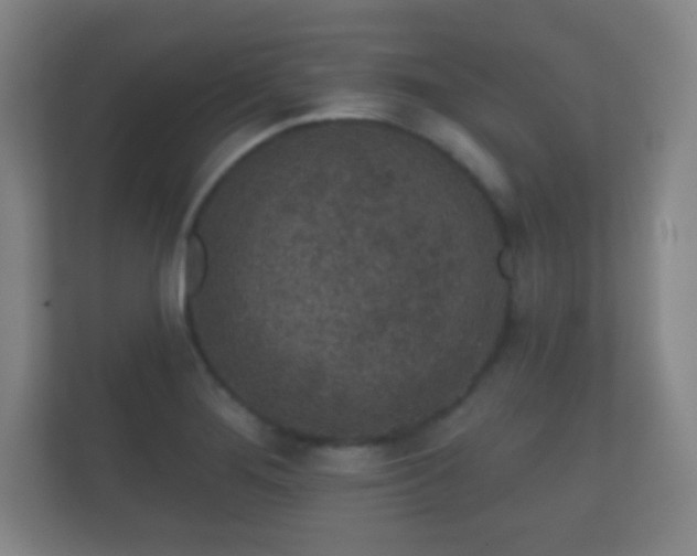 X0000112161276200908141227