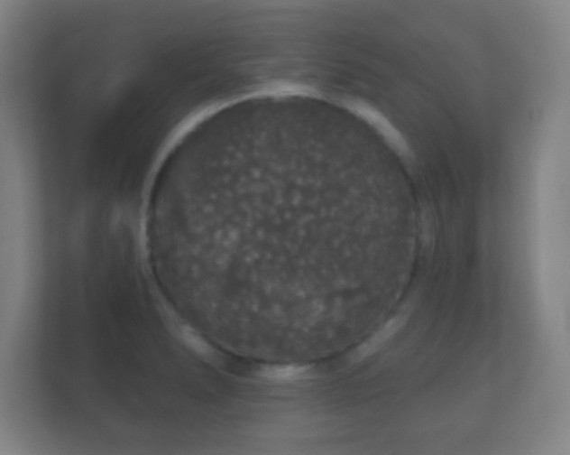 X0000112161278200908141227