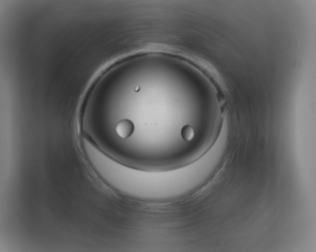 X0000112161280200908141227