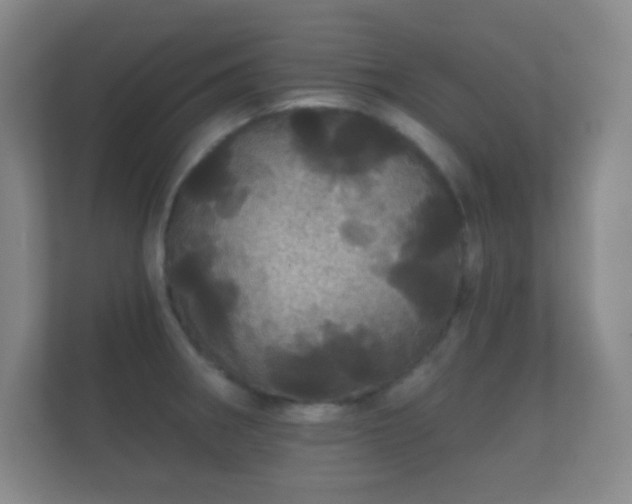X0000112161282200908141227