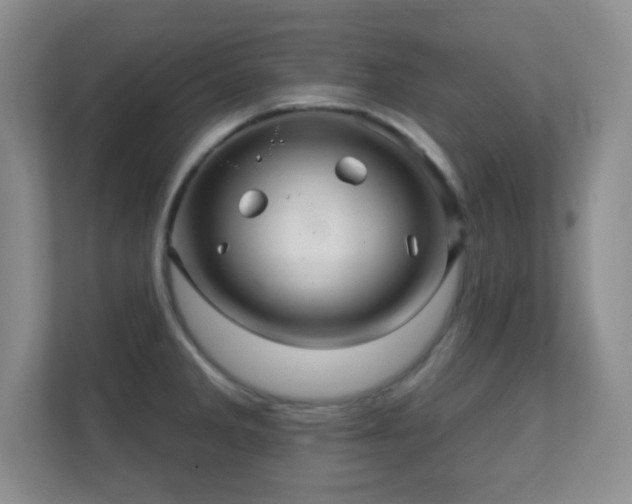 X0000112161285200908141227