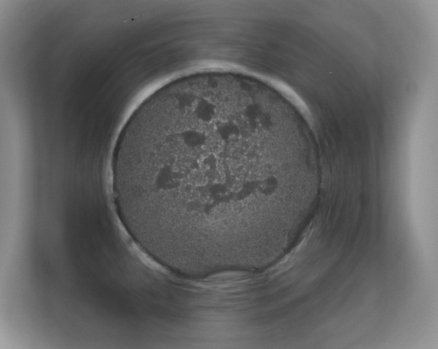 X0000112161287200908141227