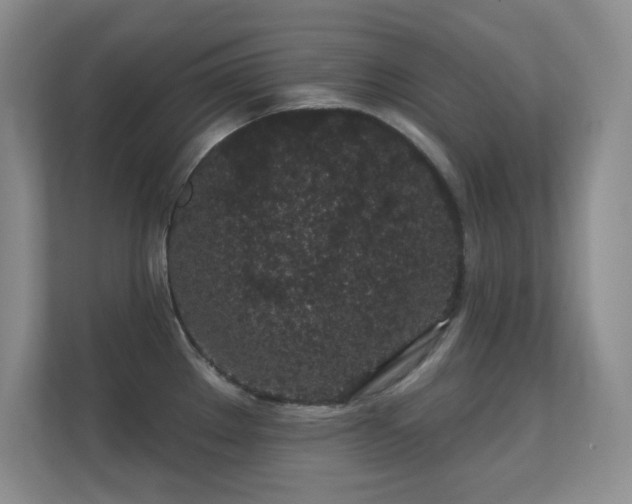 X0000112161289200908141227