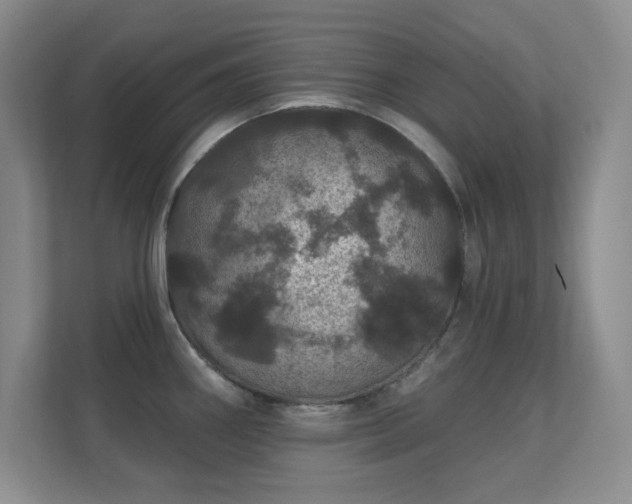 X0000112161290200908141227