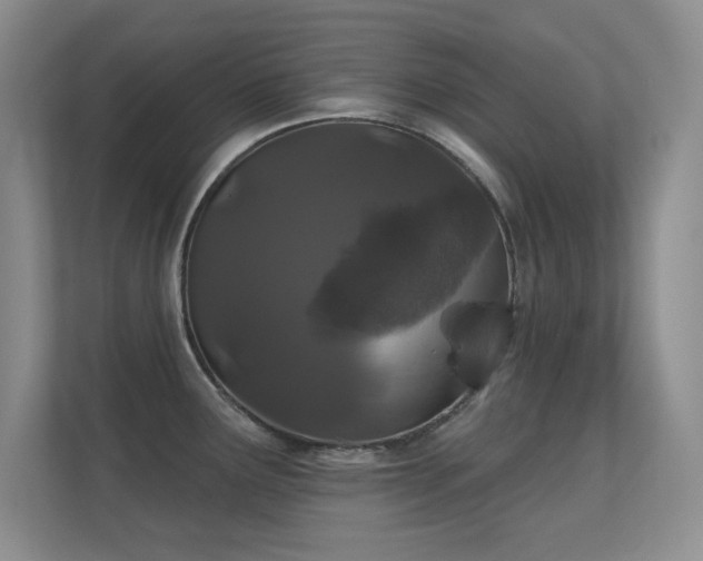 X0000112161291200908141227