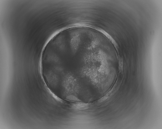 X0000112161294200908141227