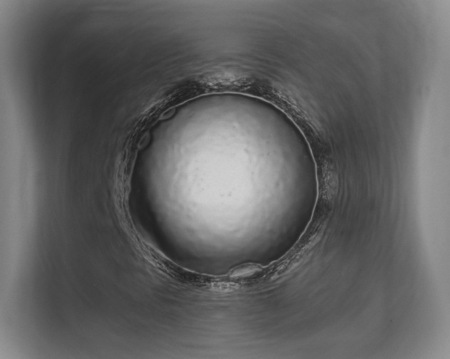 X0000112161297200908141226