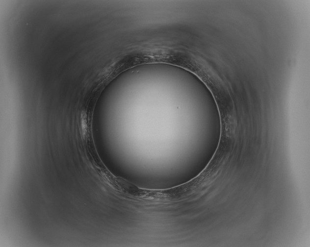 X0000112161298200908141226