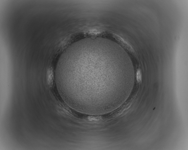 X0000112161299200908141226