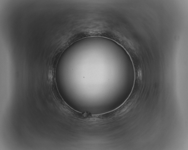 X0000112161300200908141226