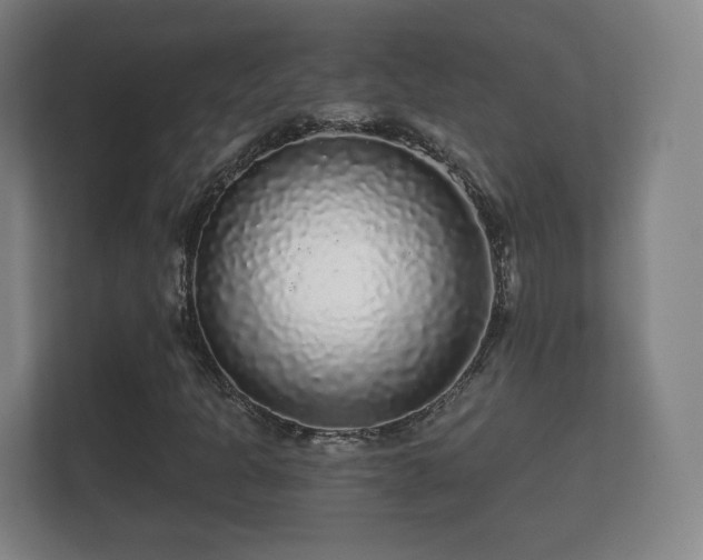 X0000112161301200908141226