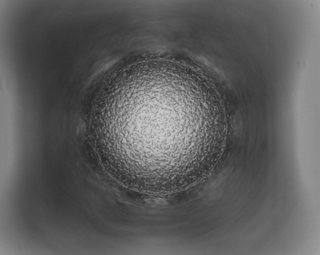 X0000112161302200908141226