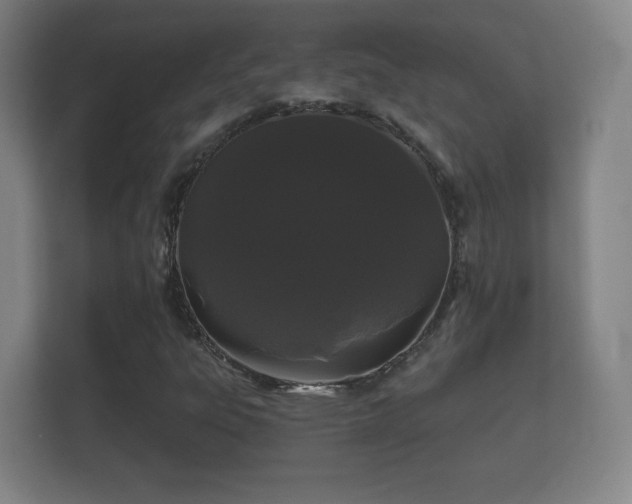 X0000112161303200908141226