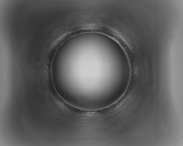 X0000112161304200908141226