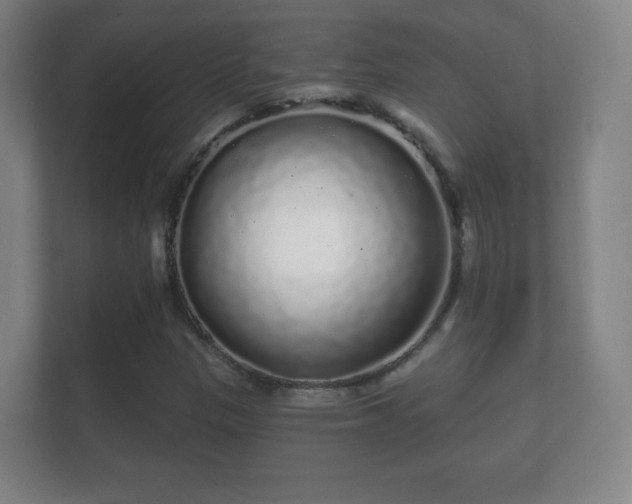 X0000112161305200908141226