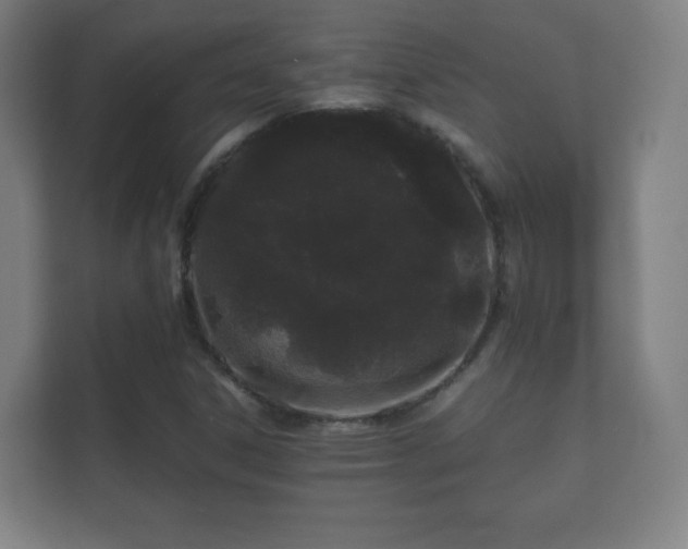 X0000112161306200908141226