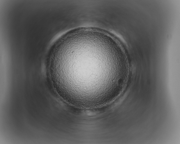 X0000112161311200908141226