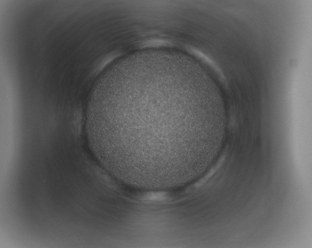 X0000112161313200908141226
