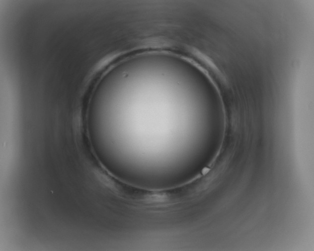 X0000112161315200908141226