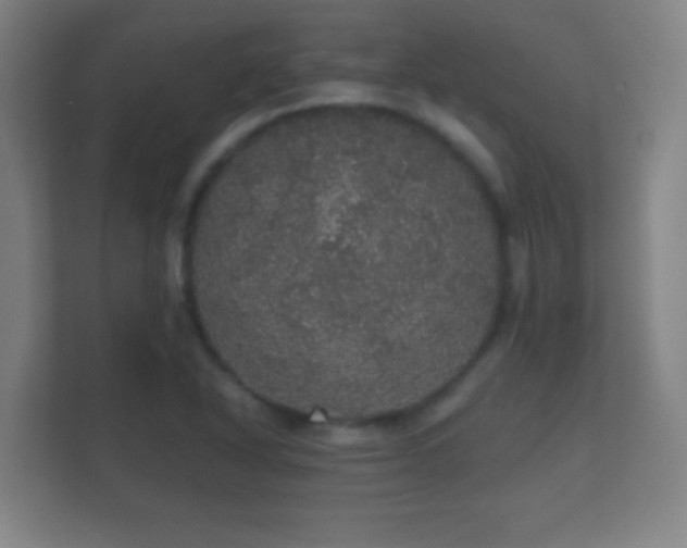 X0000112161318200908141226