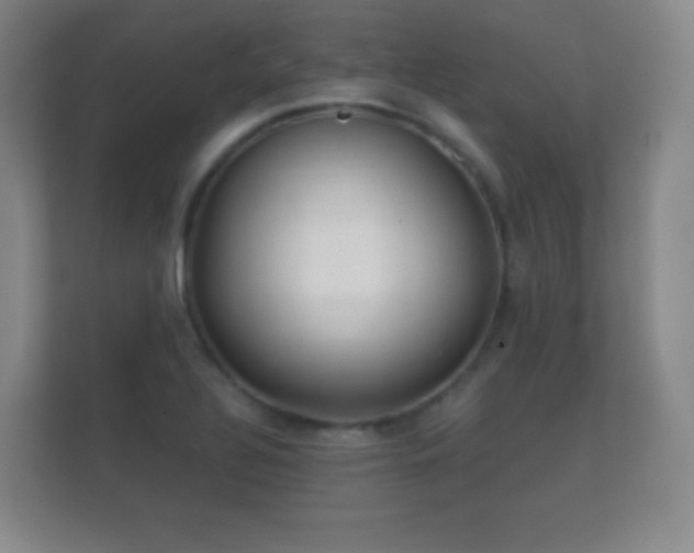 X0000112161320200908141226