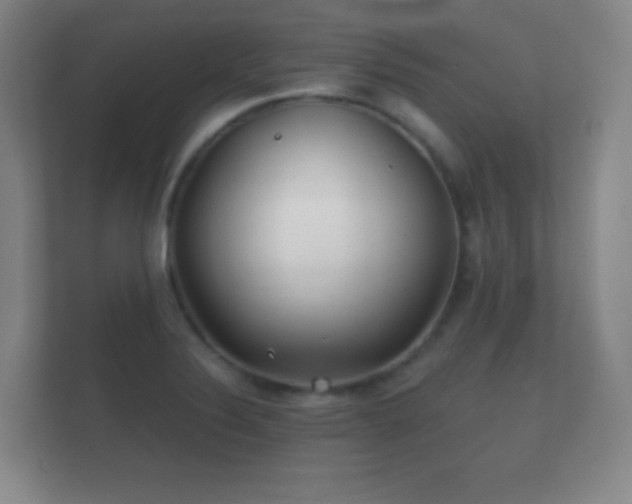 X0000112161324200908141227