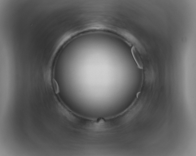 X0000112161326200908141227