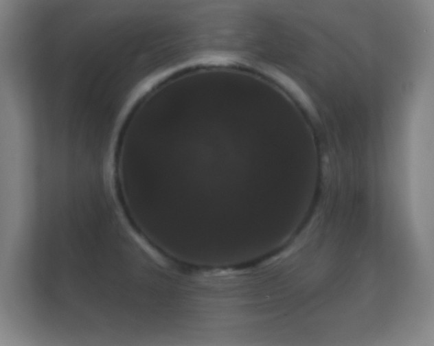 X0000112161327200908141227