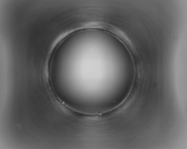 X0000112161328200908141227