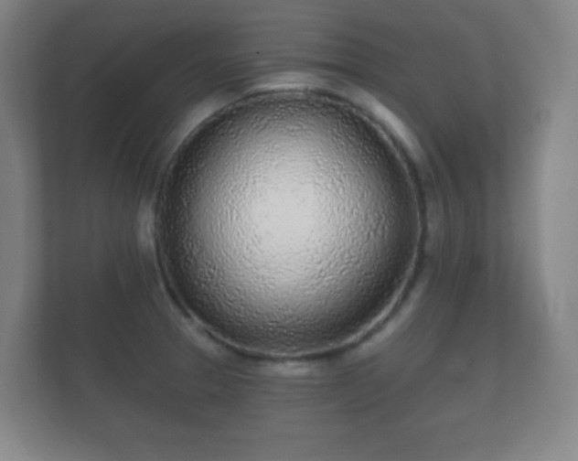 X0000112161329200908141227