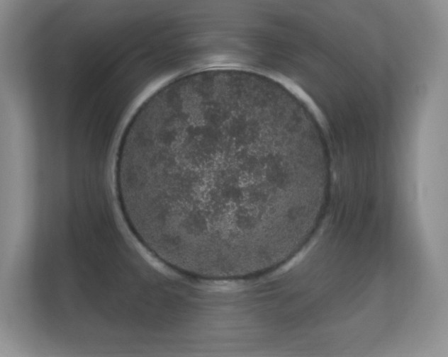 X0000112161333200908141227