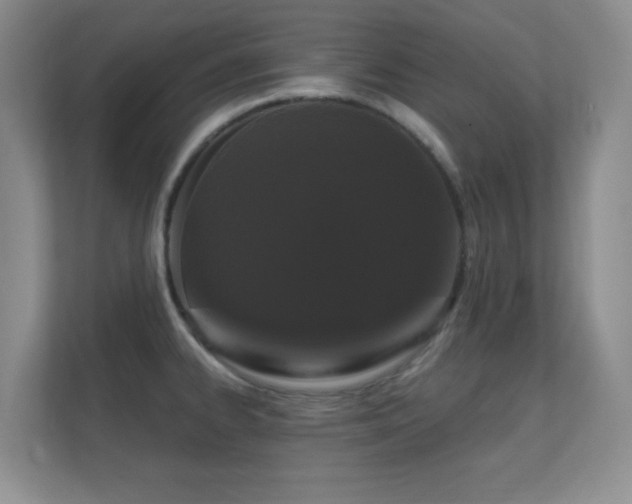 X0000112161334200908141227