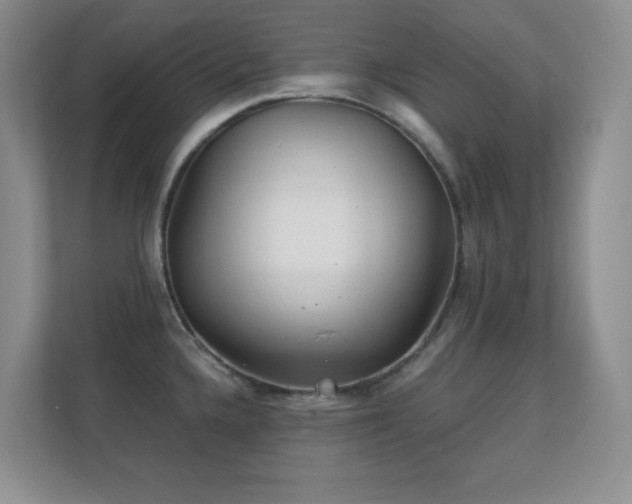 X0000112161336200908141227