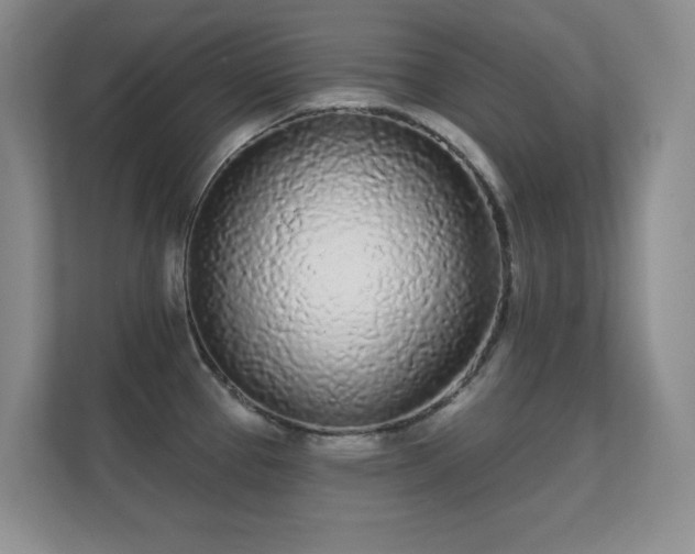 X0000112161337200908141227