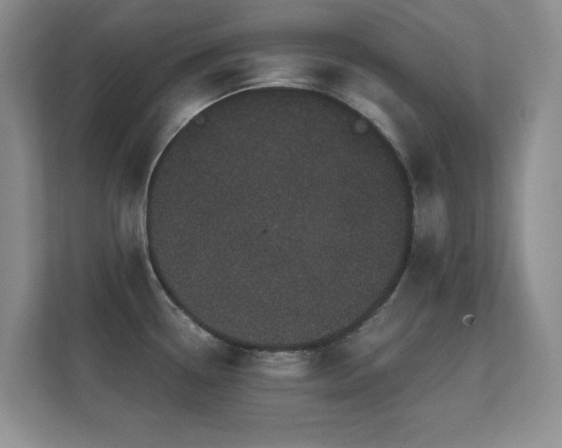 X0000112161338200908141227