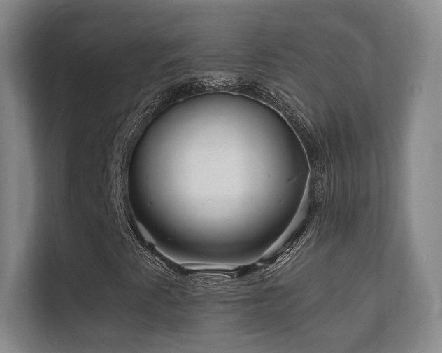 X0000112161345200908141226