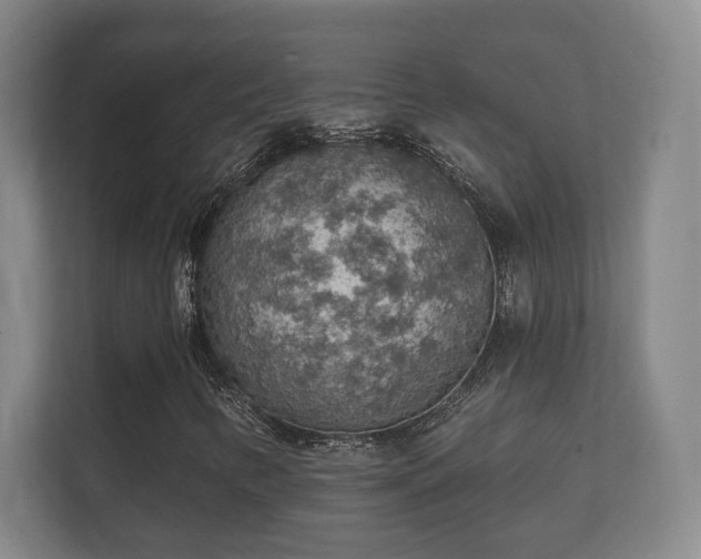 X0000112161346200908141226