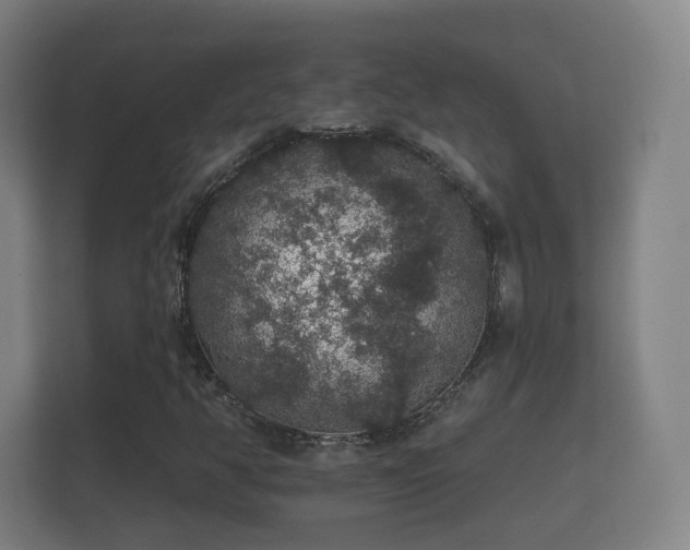X0000112161350200908141226
