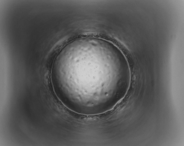 X0000112161351200908141226