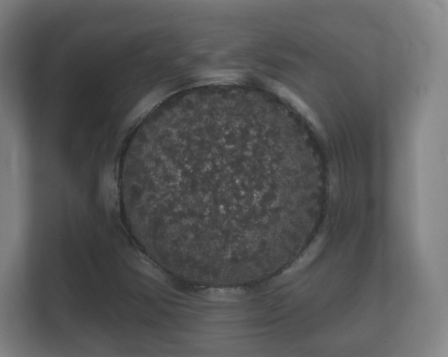X0000112161354200908141226