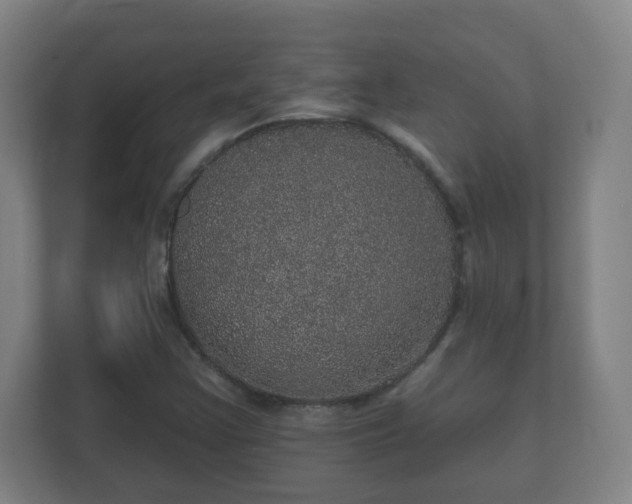 X0000112161355200908141226