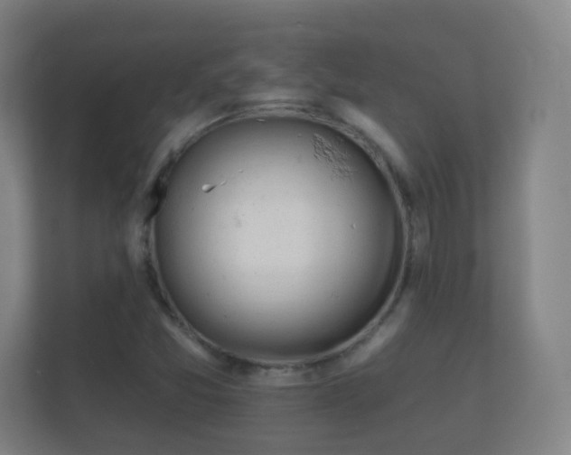 X0000112161357200908141226