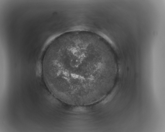 X0000112161358200908141226