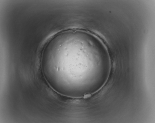 X0000112161359200908141226