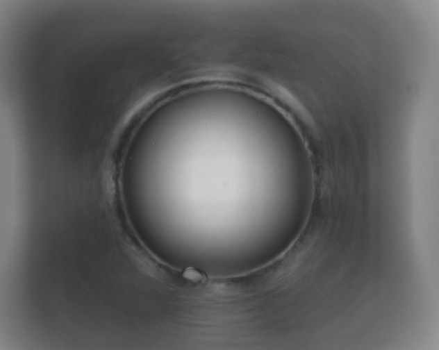 X0000112161360200908141226