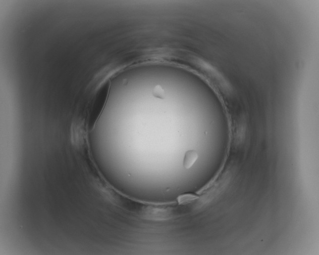 X0000112161361200908141226