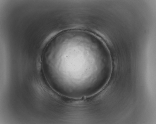 X0000112161363200908141226