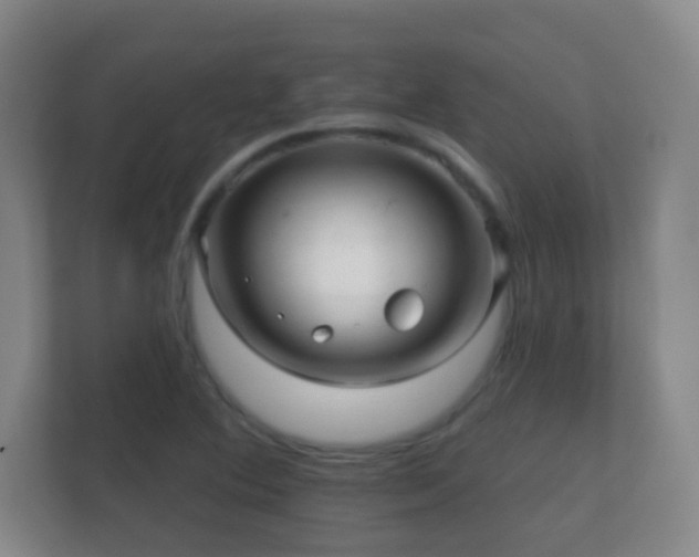 X0000112161364200908141226