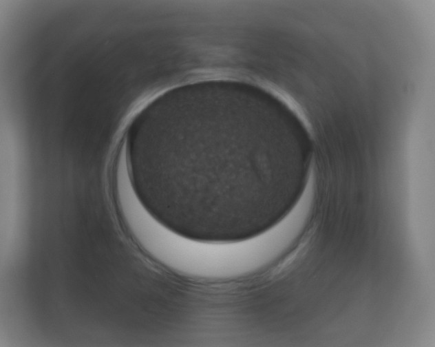 X0000112161365200908141226